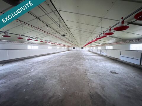   Stockage pro – 1 850 m² couverts 