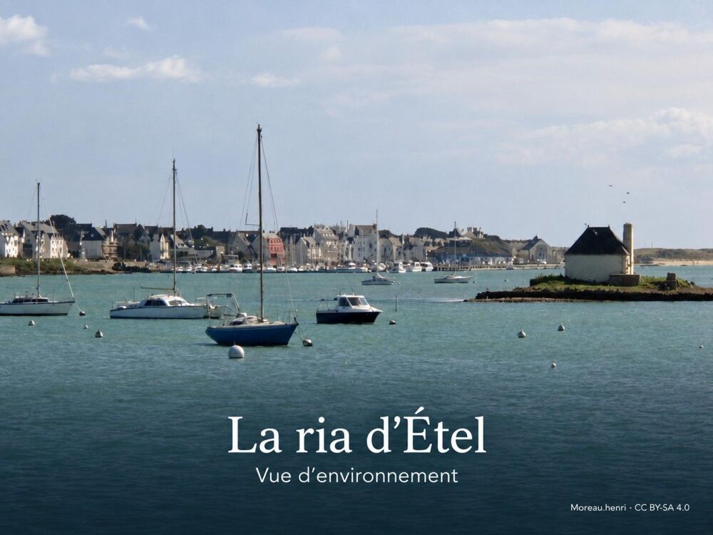 Vente Terrain Choisir ÉTEL.  Imaginer votre maison. Etel