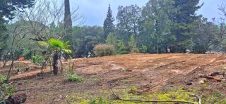  Terrain  vendre 3354 m