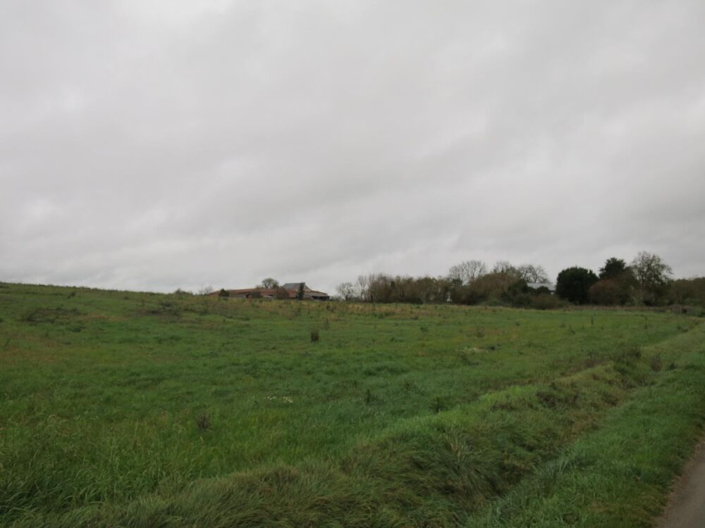 Vente Terrain Terrain a Batir, non viabilisé Doussay