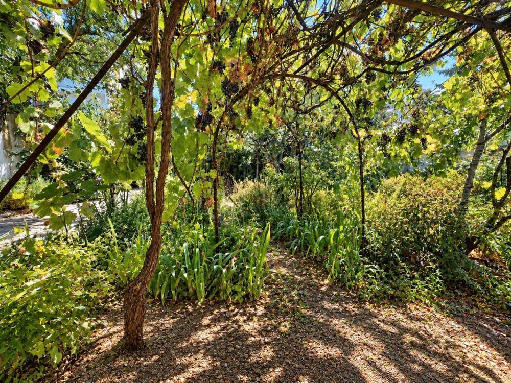 Vente Maison Maisons à vendre sur Alfortville à 5 minutes du Centre Ville d' Alfortville Alfortville