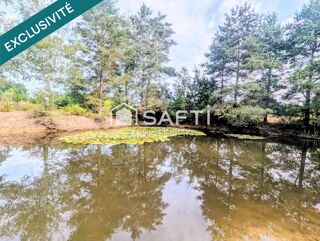  Terrain à vendre 6501 m²