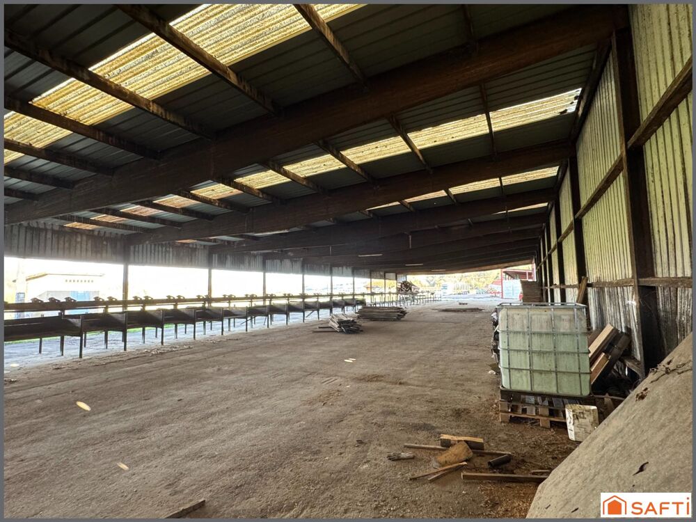 Vente Immeuble Ancien site industriel situé sur le secteur de Brieulles/Meuse Brieulles-sur-meuse
