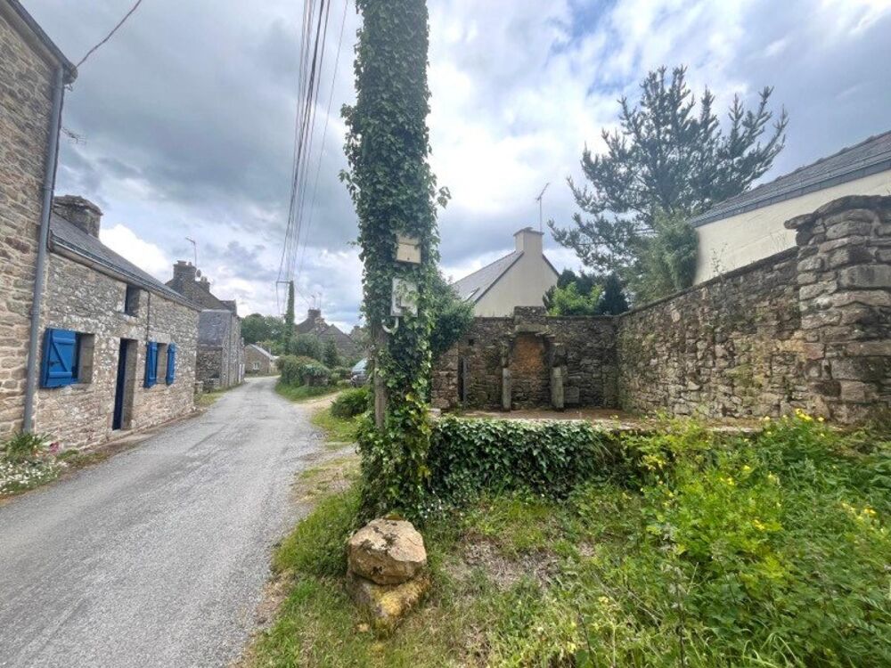 Vente Maison Peaule: petite maison en pierre en impasse! Peaule