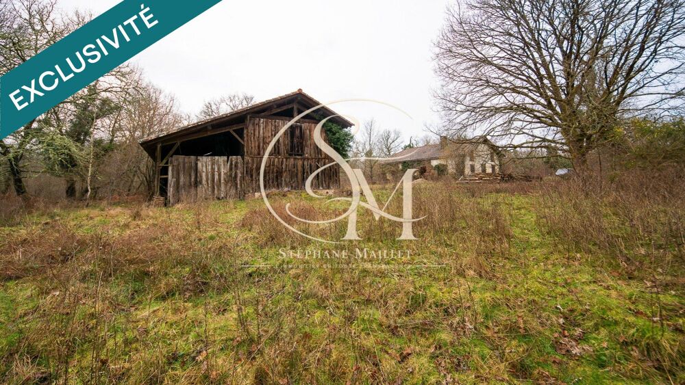 Propriété landaise à réinventer sur 2,8 ha