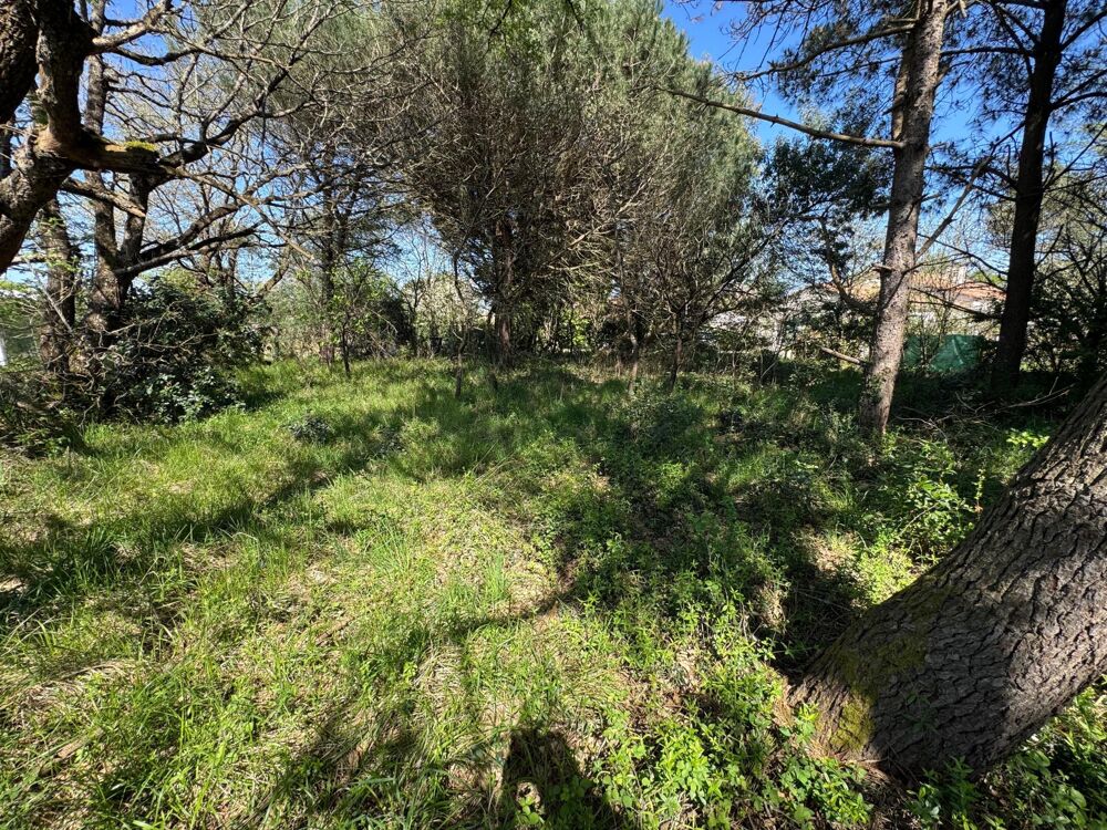 Vente Terrain Terrain constructible de 662 m² –  Les Sables d'Olonne Chateau-d'olonne