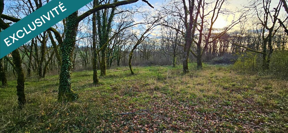 Vente Terrain Terrain constructible avec CU - 2200 m² - Calme Vegennes