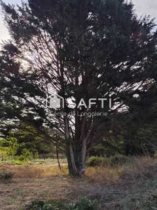  Terrain � vendre 6683 m�