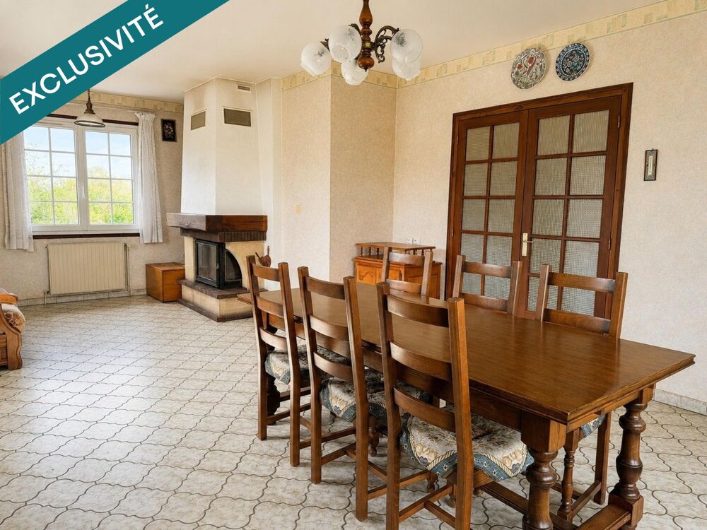 Vente Maison Maison, grand terrain et 110 m² de sous-sol Chatillon-sur-loire