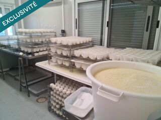  Terrain � vendre 19748 m�