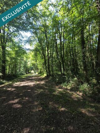  Terrain à vendre 44934 m²
