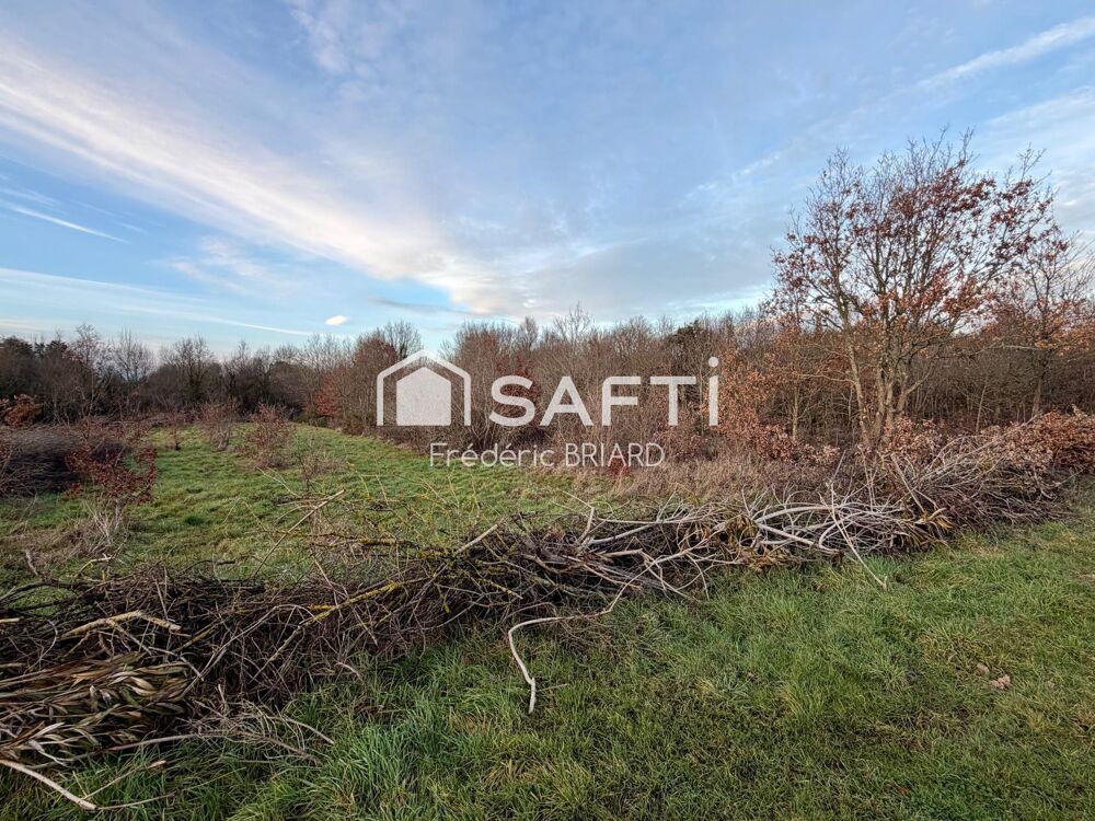 Vente Terrain L'Ile d'Olonne, terrain agricole 2574m2. L' ile-d'olonne