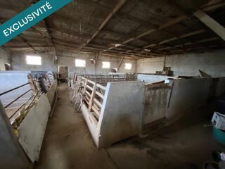  Immeuble à vendre 445 m²