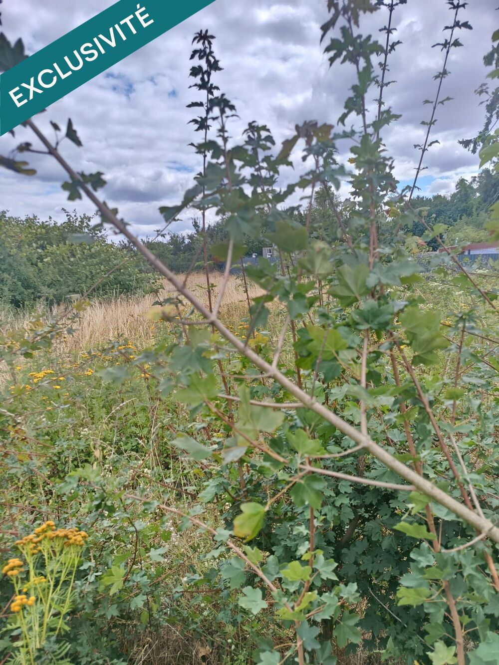 Vente Terrain Terrain à bâtir 450m2 Aniche