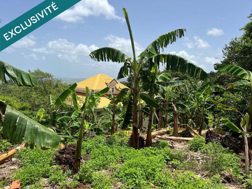 Vente Terrain Belle parcelle constructible, division possible Le lamentin