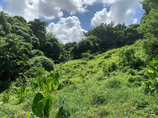  Terrain � vendre 2664 m�