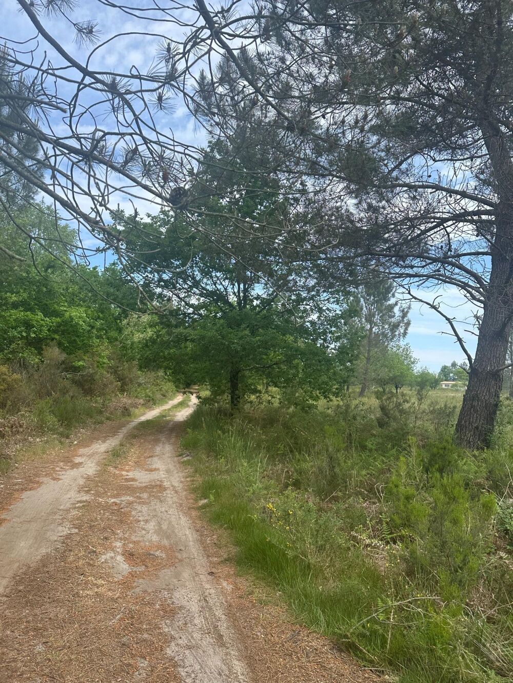 Vente Terrain Terrain agricole de 3 ha au calme à Gujan-Mestras Gujan-mestras
