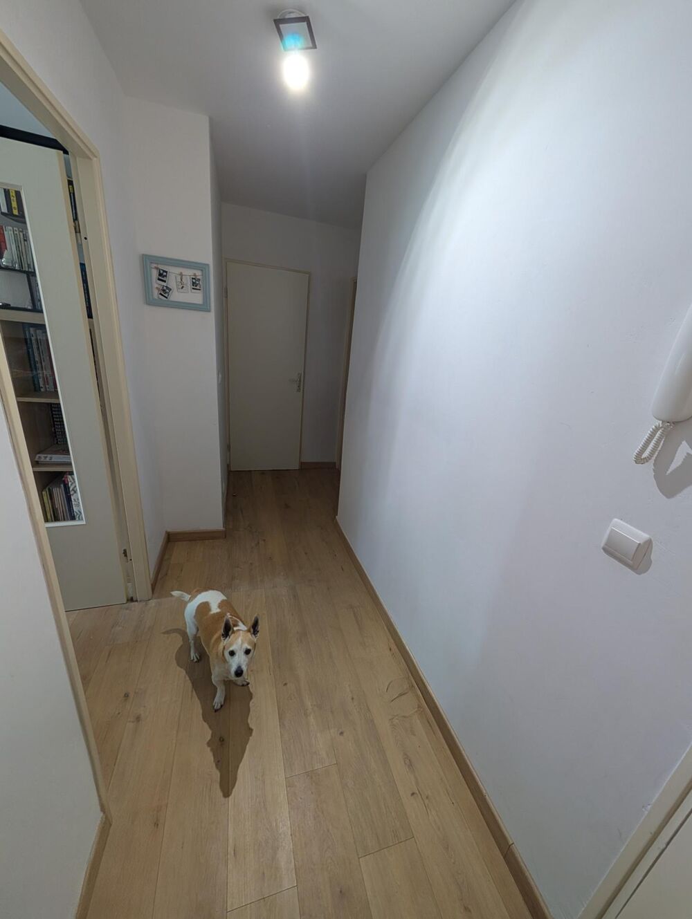 Vente Appartement Tr�s beau T2 de 48.5 m2 au jardin de 40 m2 Lille