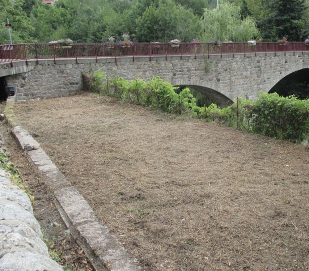 ANCIEN COMMERCE 230m², espace de vie 160 m2, terrain +700m²