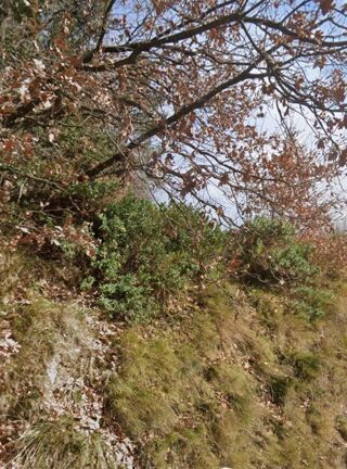  Terrain � vendre 2950 m�