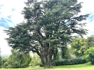  Maison  vendre 15 + pices 900 m