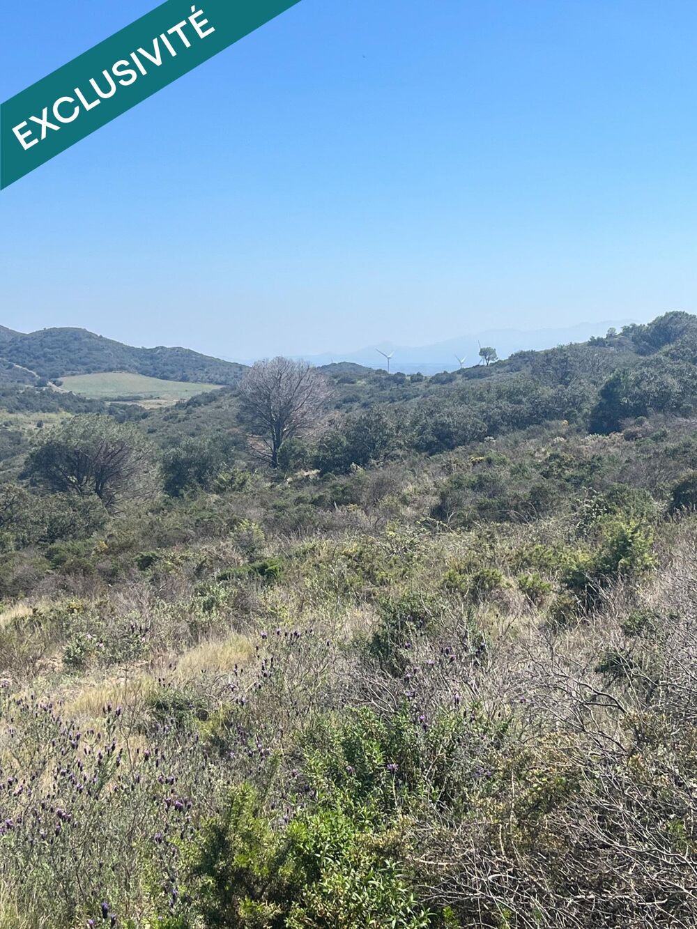 Vente Terrain Terrain agricole avec divers projets possible . Estagel