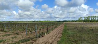  Terrain à vendre 65000 m²