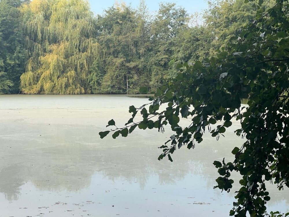 Vente Terrain Magnifique plan d'eau à côté de l'Yonne! Saint-denis-les-sens