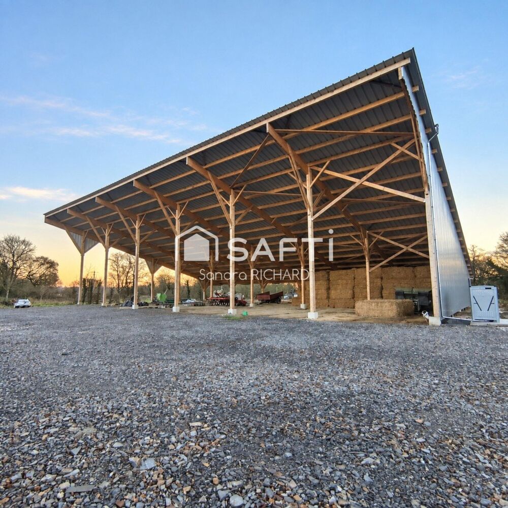   HANGAR Vide 