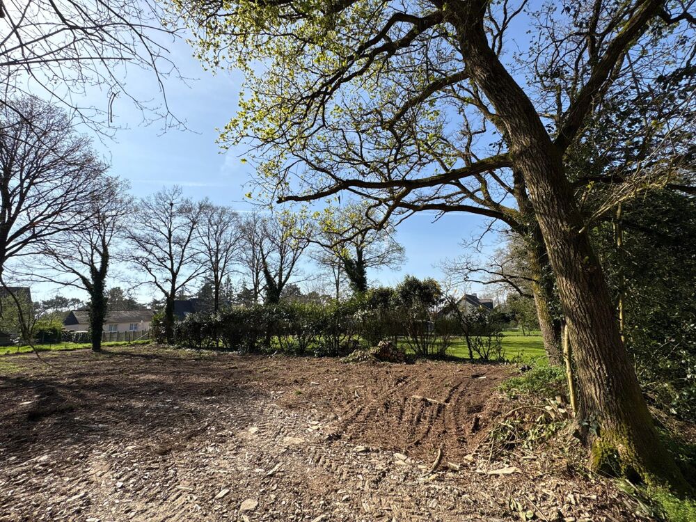 Vente Terrain Terrain de 1230m2 prêt à bâtir avec Tout-à-l'égout Guemene-penfao