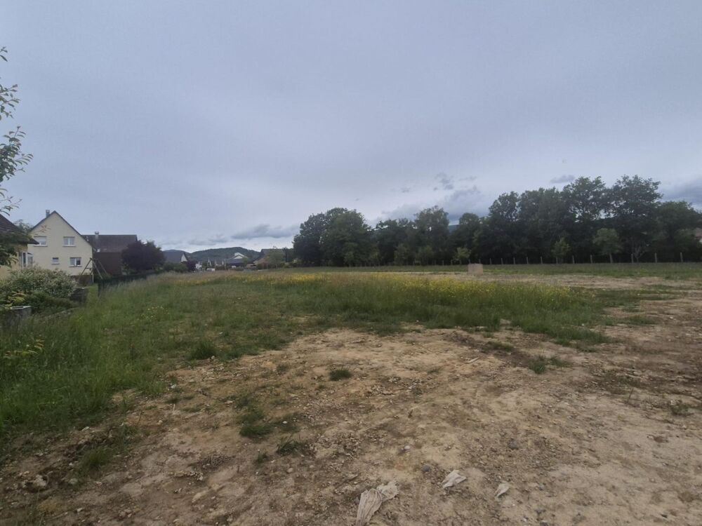 Vente Terrain Offrez-vous le cadre idéal pour construire votre future maison au cœur de Sentheim, entre nature, tranquillité et proximité des Sentheim