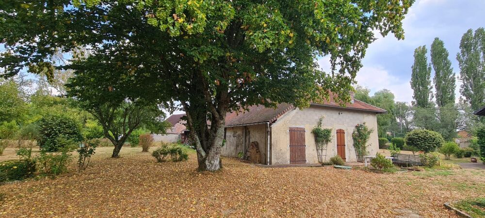 Vente Maison Maison ancienne avec dépendances et son parc arboré Chessy-les-pres