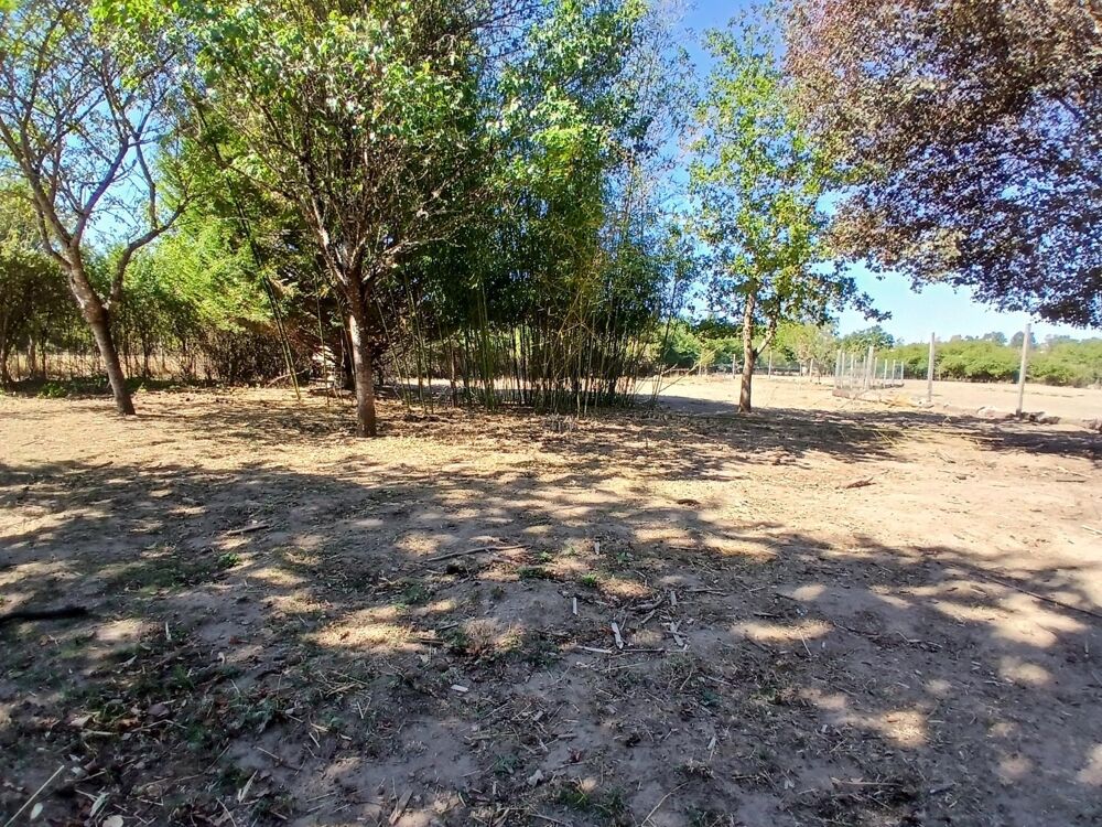 Vente Terrain Située à seulement 15 minutes de la N7, 25 minutes de Nevers, 35 minutes de Moulins et 50 minutes de Bourges, Mornay-sur-allier