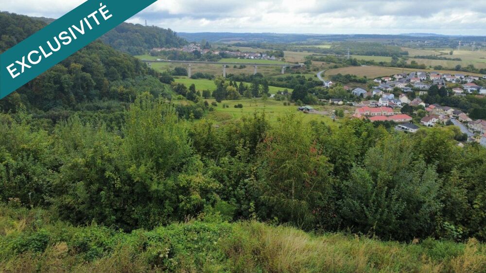Vente Terrain terrain constructible avec vue imprenable Mont-saint-martin