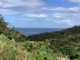  Terrain  vendre 1001 m