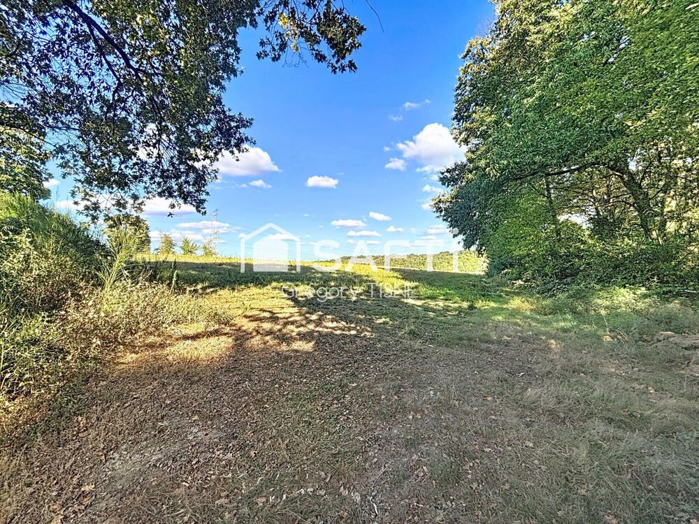 Vente Terrain Etang, palombière, terres agricoles Saint-armou