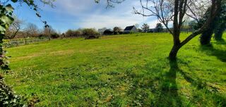  Terrain  vendre 1229 m