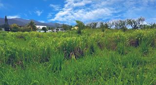  Terrain � vendre 1353 m�