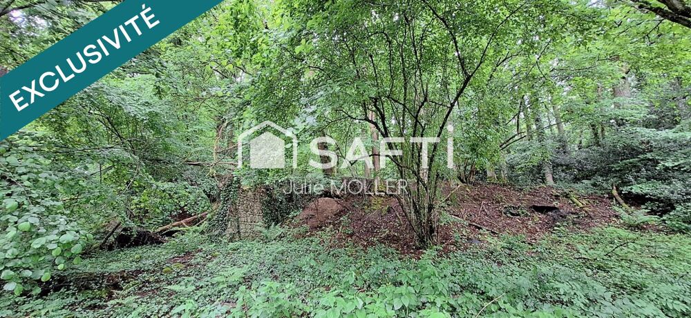 Vente Terrain Terrain 2,5Ha dont 3000m² constructibles Gueret