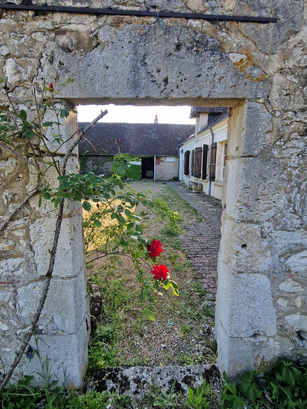 Vente Maison Authentique maison vigneronne au calme Mont-pres-chambord