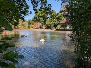  Maison à vendre 11 pièces 345 m²