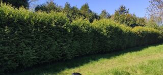  Terrain � vendre 1010 m�