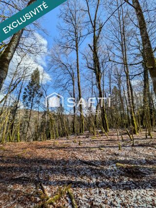  Terrain à vendre 12818 m²