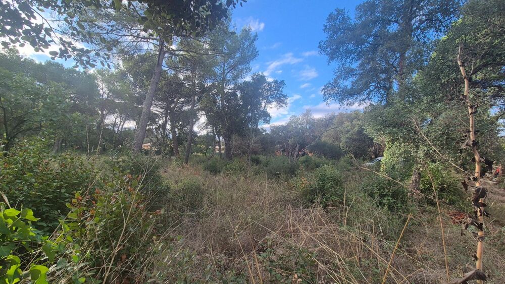 Vente Terrain Terrain plat et joliment arboré Le cannet-des-maures