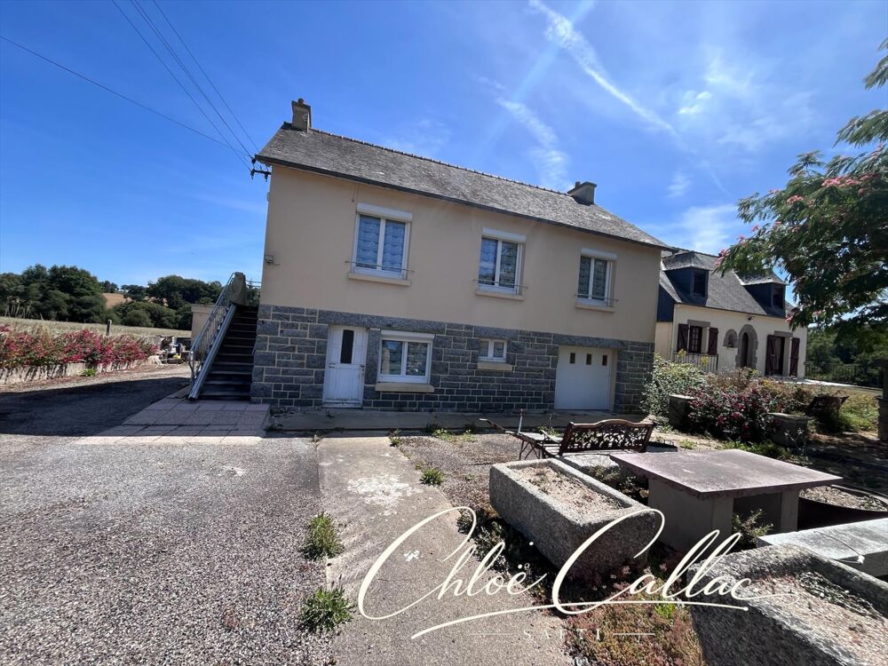 Belle Maison avec garage, dépendance et grand jardin