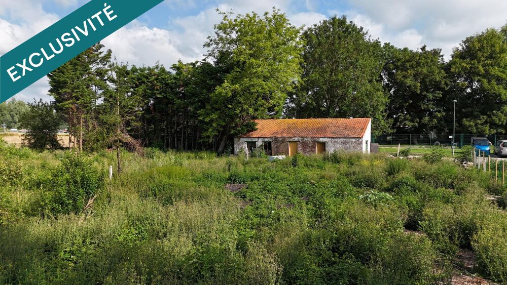 Vente Terrain EXCLUSIVITE SAINT OMER Saint-omer