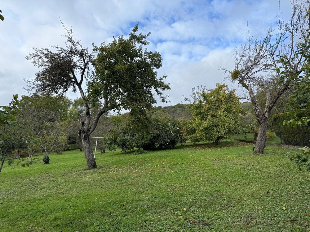 Vente Terrain Terrain de 25 ares à vendre à Guentrange Thionville
