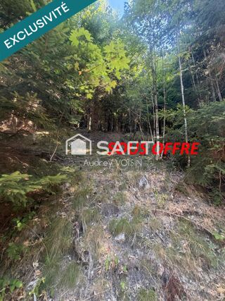  Terrain à vendre 31250 m²