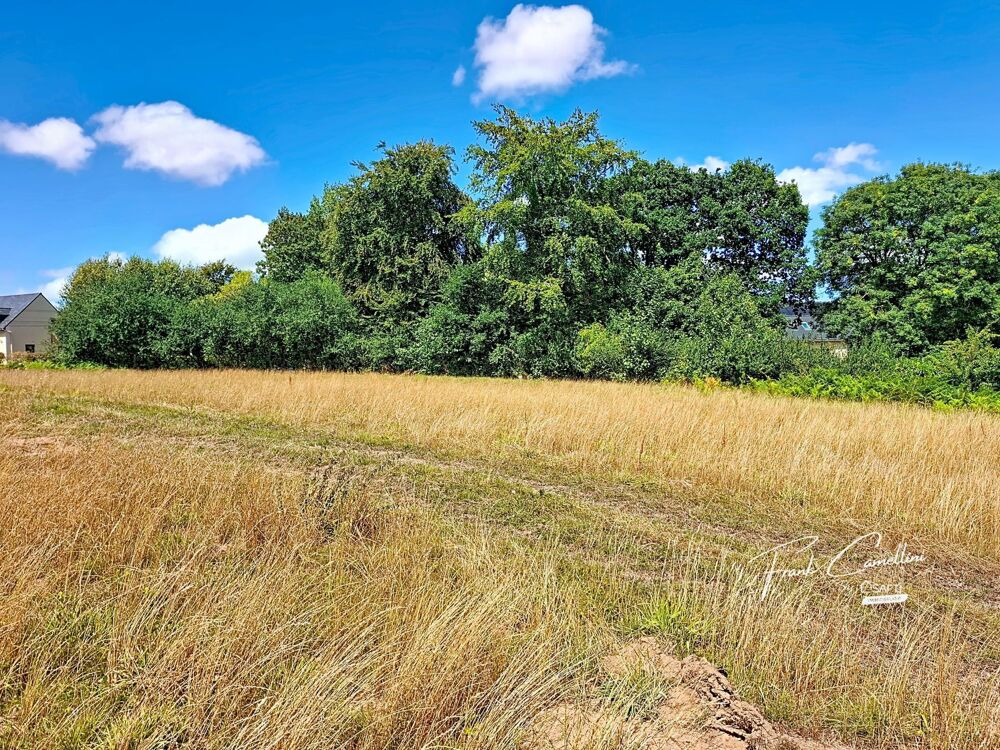 Vente Terrain Terrain constructible et viabilisé proche Lannion Prat
