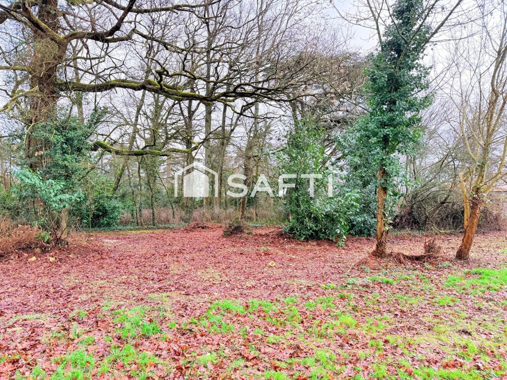 Vente Terrain Terrain 11077m2 dont 6647m2 constructibles Fontaine-le-comte